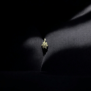 Aureli Solyn – Silver Tone Nosepin (Style 10)